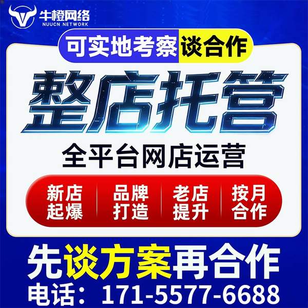 哈尔滨电商代运营